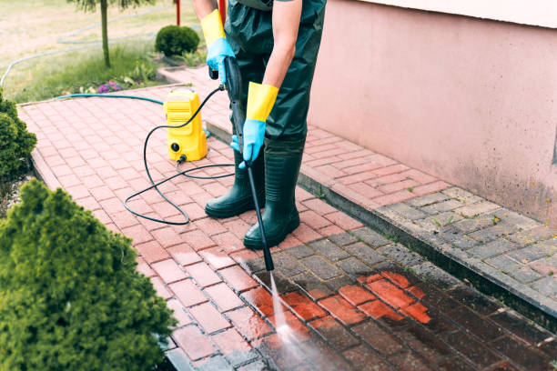 Best Roof Pressure Washing  in Burkburnett, TX